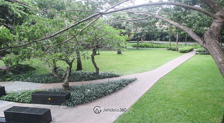 Ground