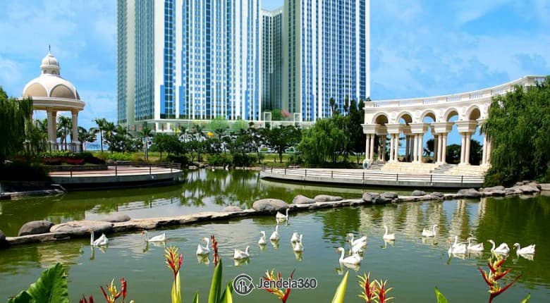 Swan lake