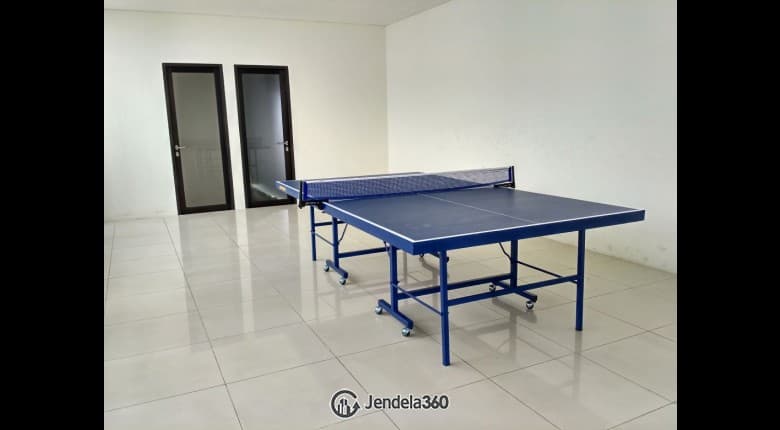 Tenis Meja