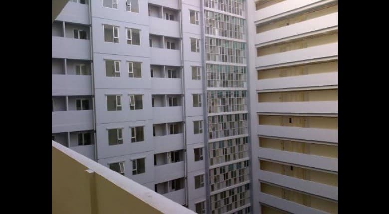 MESC038-Picture